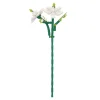 Sale Bausteine-Set 3D, Jasmin, 32 Cm Geschenkideen