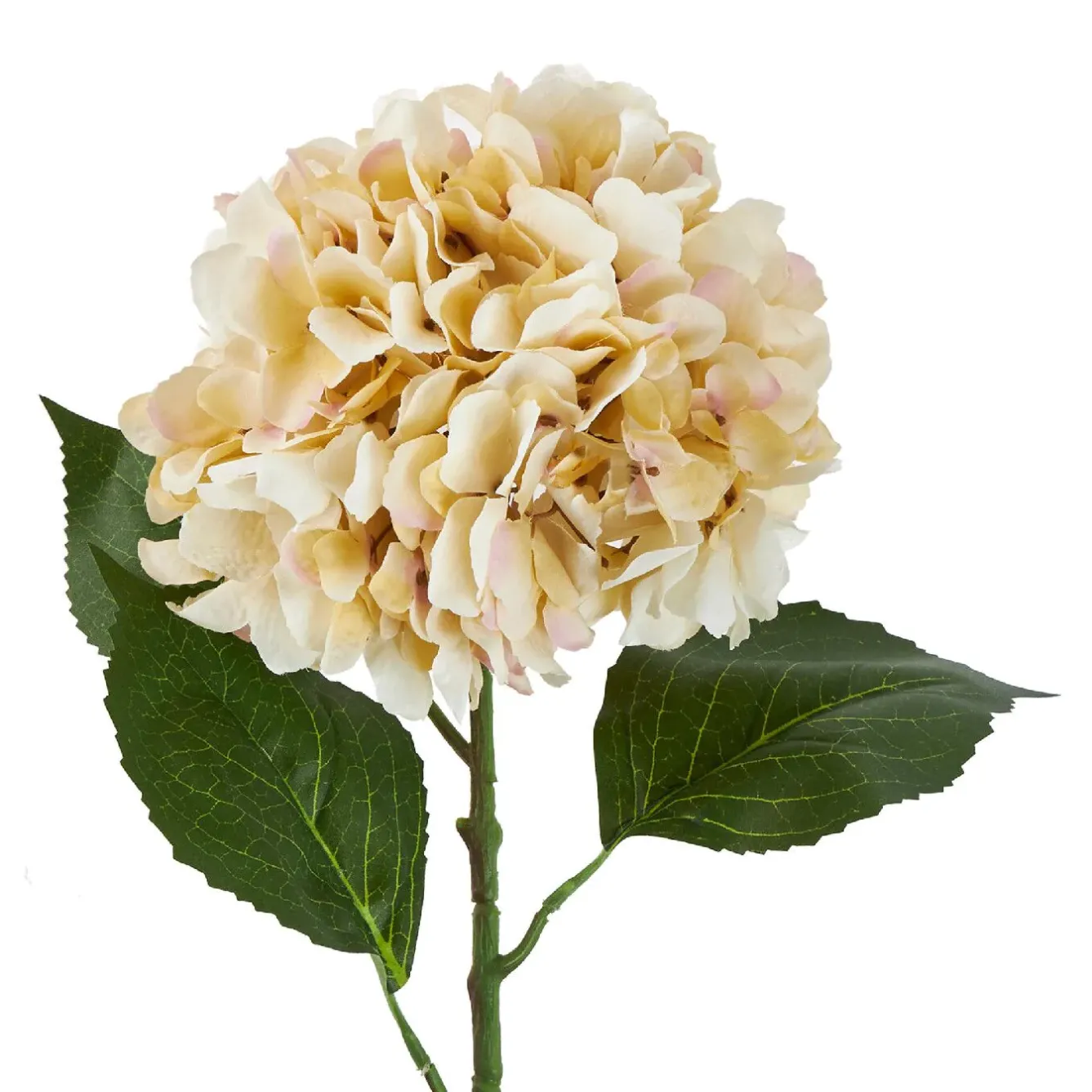 Online Hortensie Antik, Creme, 70 Cm Vasen & Kunstblumen|Weihnachtsdeko