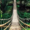 Hot Jumboposter Jungle Bridge, Nr. 37 Poster