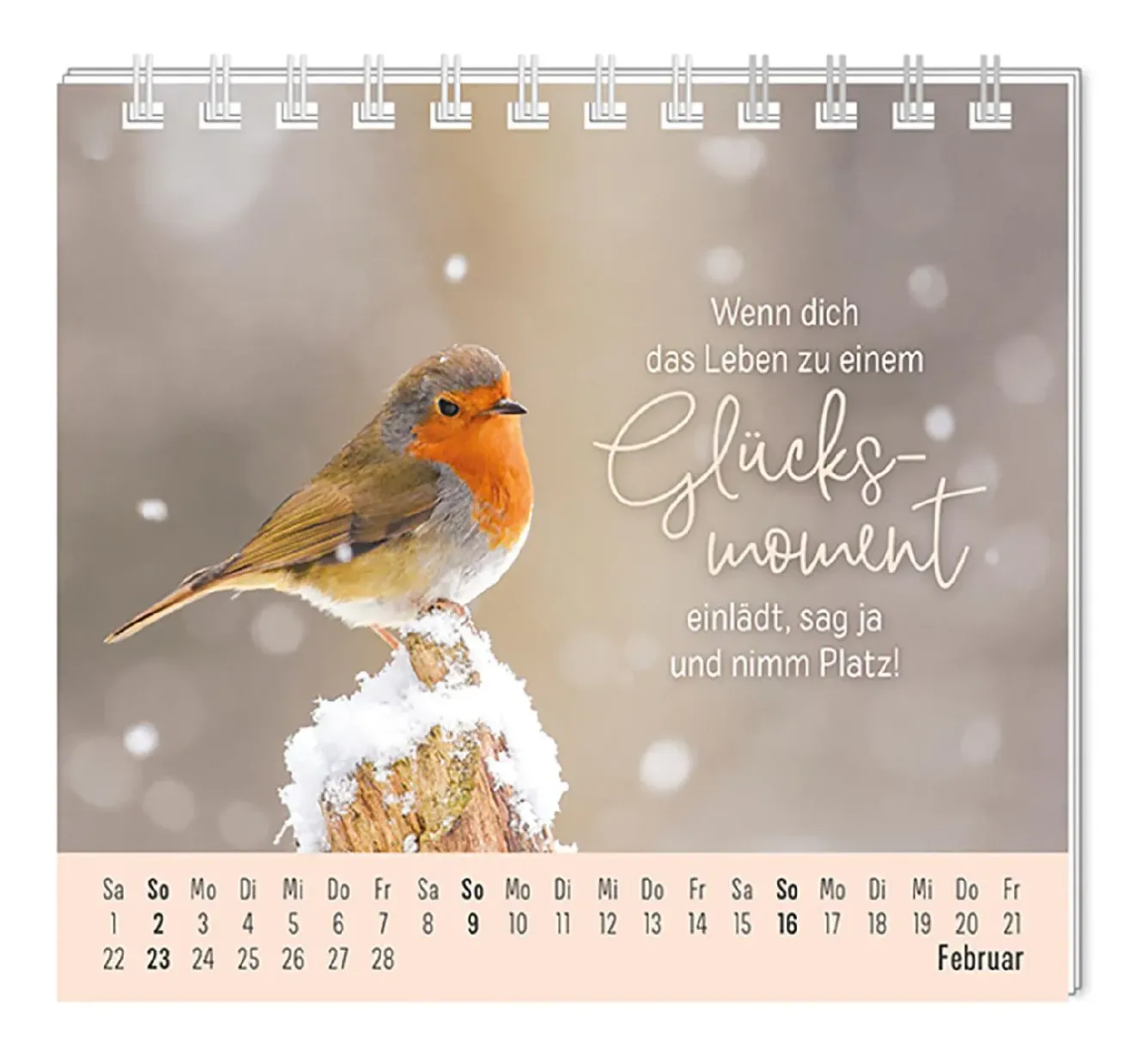 Discount Mini-Tischkalender 2025, Eine Extraportion Glück Kalender & Planer|Weihnachtsgeschenke