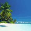 Hot Poster Maldives Lagoon, Nr. 221 Poster