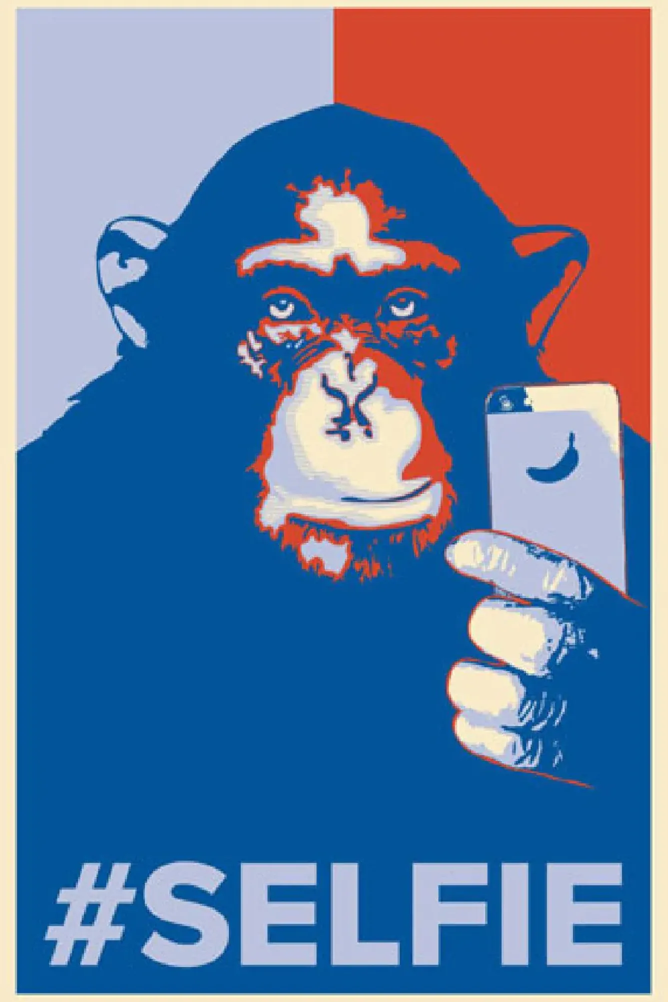 Outlet Poster Selfie Monkey, Nr. 199 Poster