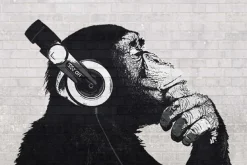 Poster The Chimp Stereo - Wall, Nr. 228 Poster