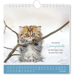 New Postkarten Kalender, 2025, Auf Leisen Pfoten Kalender & Planer|Weihnachtsgeschenke