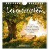 New Postkarten Kalender, 2025, Lebenszeichen Kalender & Planer|Weihnachtsgeschenke