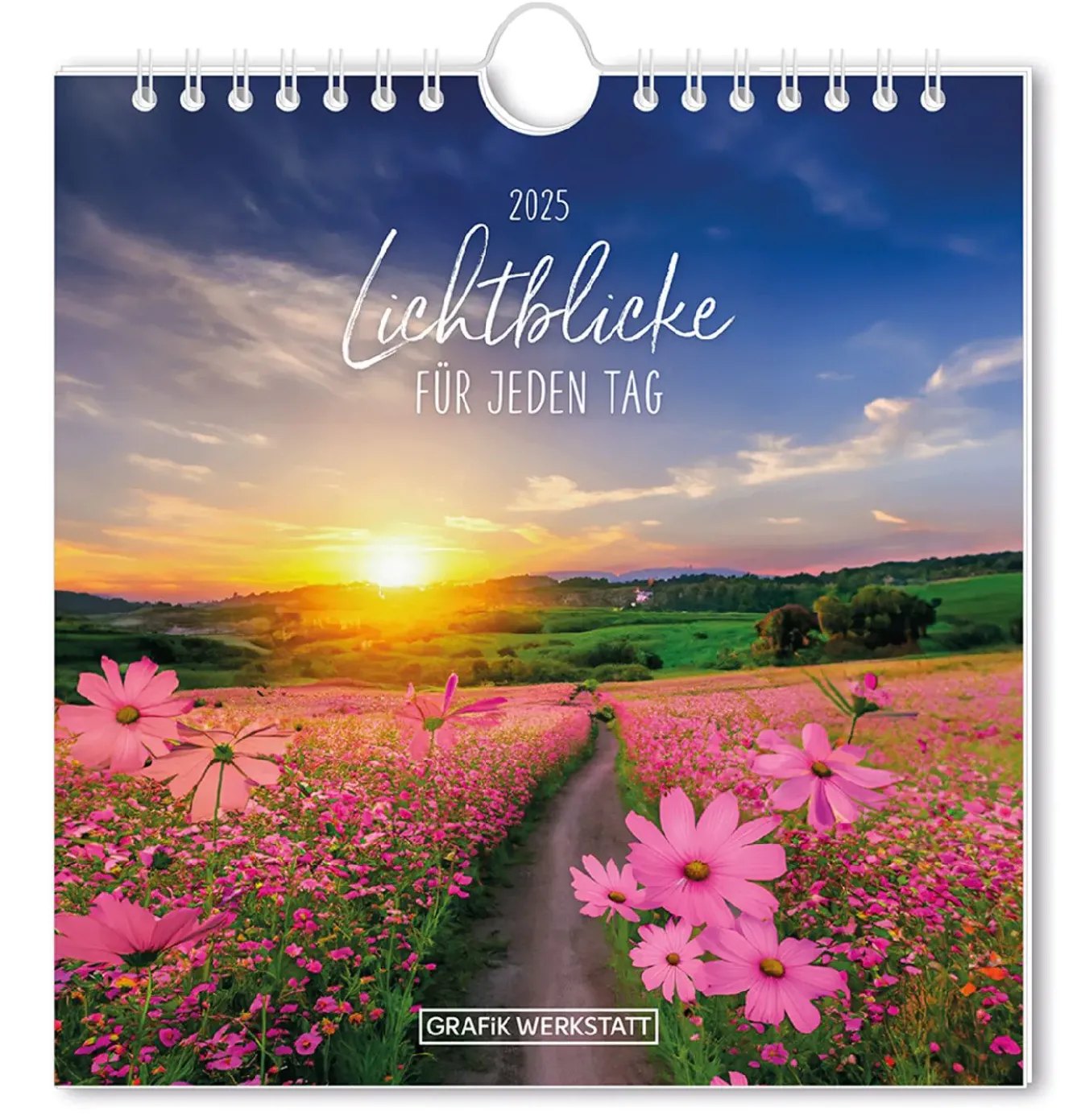 Discount Postkarten Kalender, 2025, Lichtblicke Kalender & Planer|Weihnachtsgeschenke