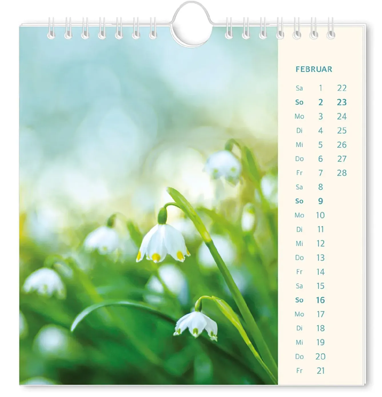 Discount Postkarten Kalender, 2025, Lichtblicke Kalender & Planer|Weihnachtsgeschenke
