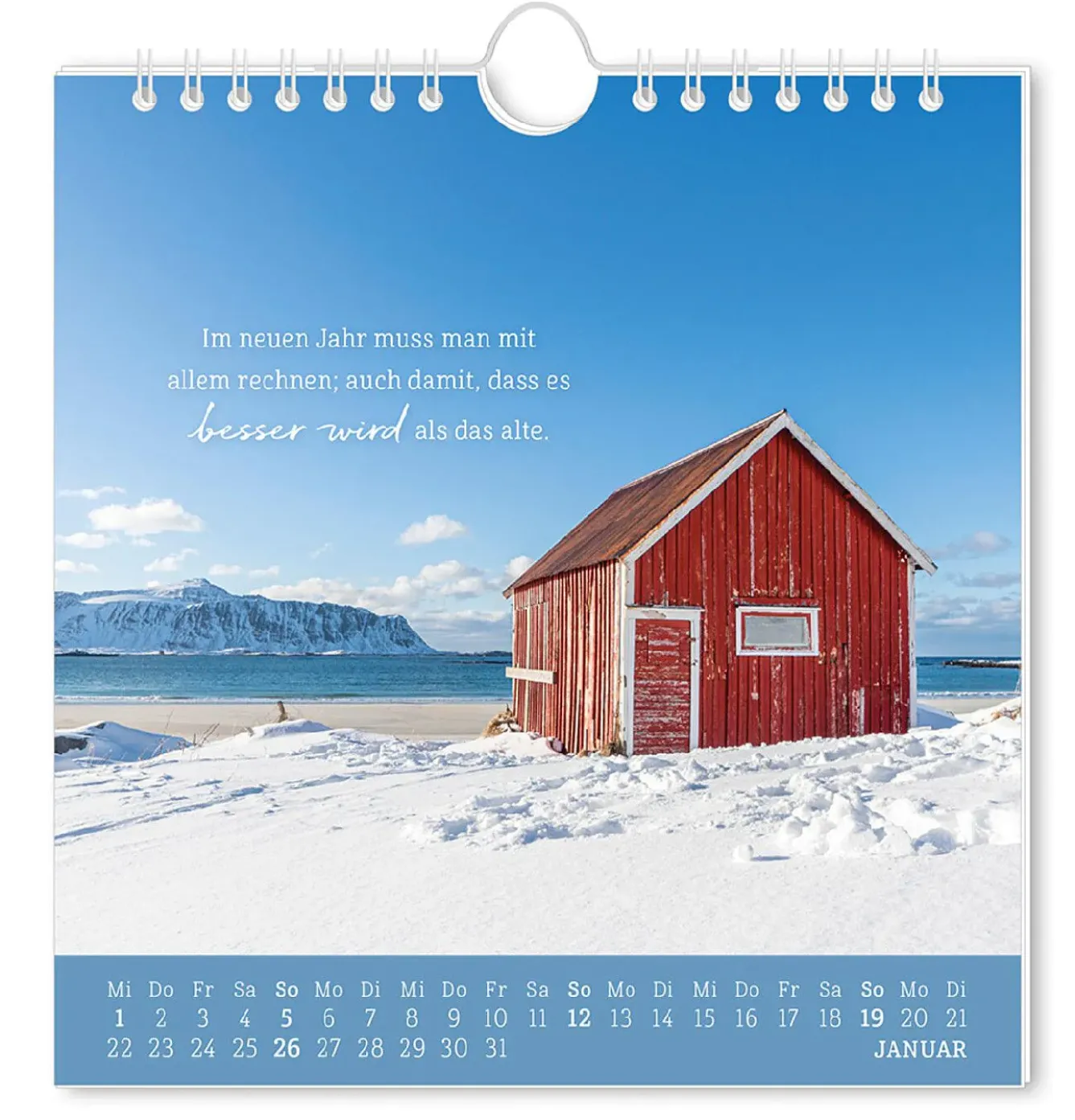 Clearance Postkarten Kalender, 2025, Strandgut Kalender & Planer|Weihnachtsgeschenke