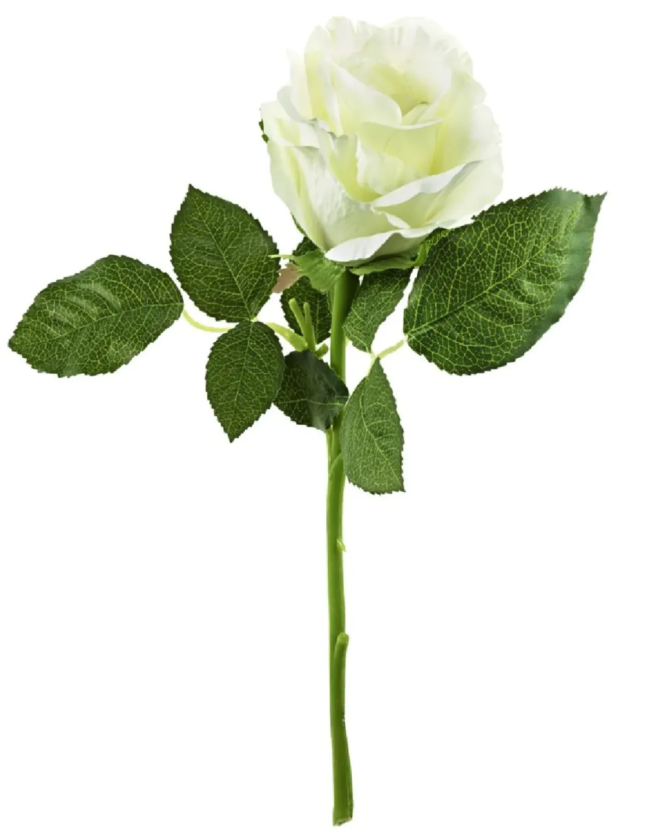 Online Rose, 30 Cm, Weiß Vasen & Kunstblumen|Frühlingsdeko