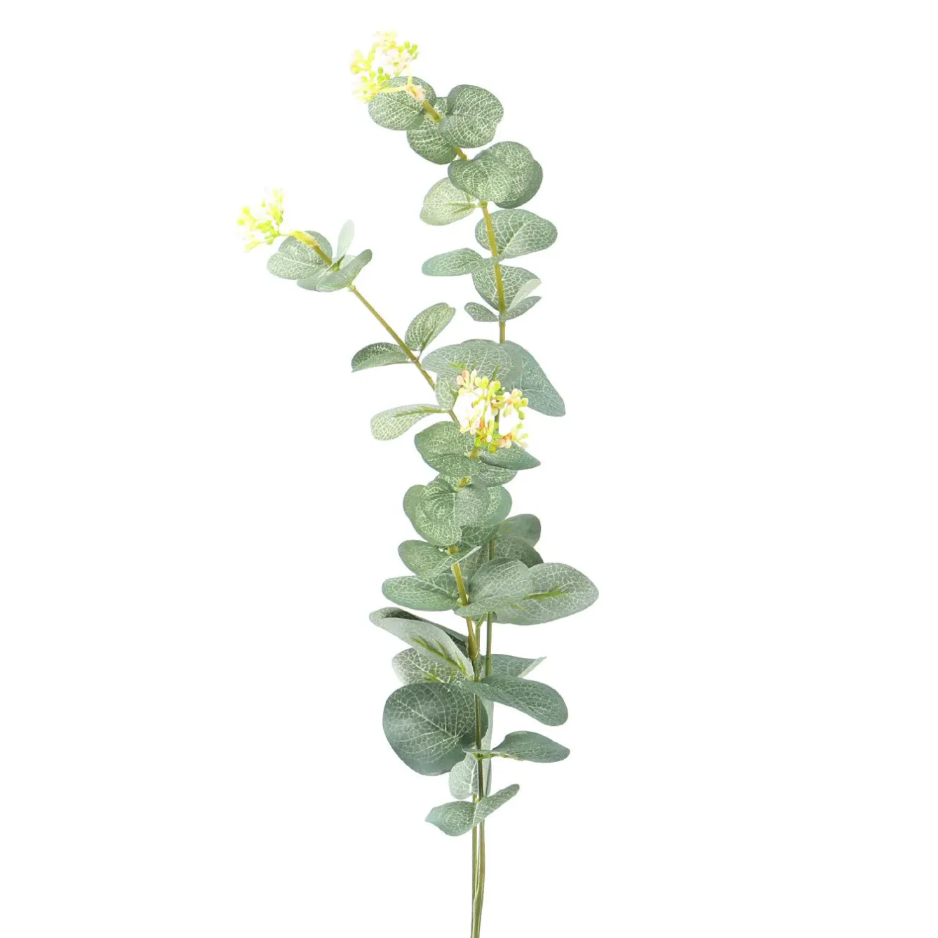 Discount Zweig Eucalyptus, 60 Cm Jga|Tischdeko Hochzeit